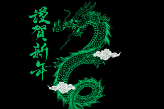a tshirt  with the dragon logo on it