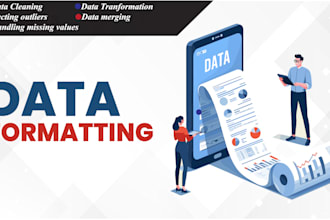 do data cleaning and preparation in excel and spss professionally