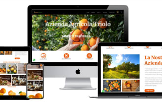 progettazione di siti web con wordpress e shopify