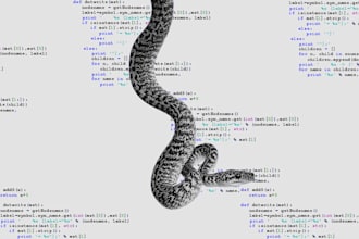 be your python programming project expert