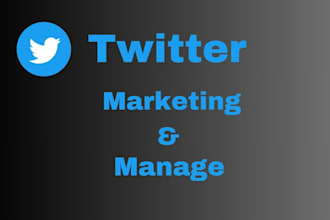 be your twitter manager for organic promotion and marketing