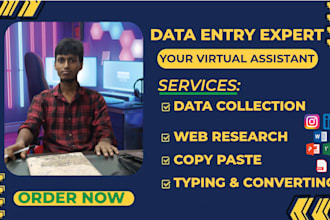 data entry, exce data, copy paste, web research