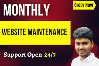 professional wordpress website monthly maintenance