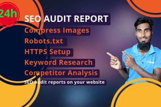 do all internal and SEO audit reports on your website