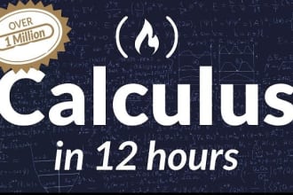 help you with calculus