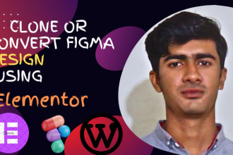 create animated website and convert figma design into wordpress using elementor