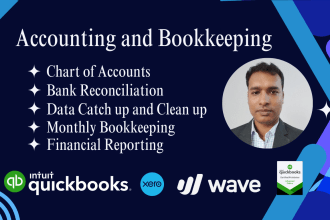 do accounting and bookkeeping clean up set up using qbo xero and wave