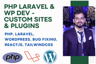 wordpress and laravel expert custom websites and plugins