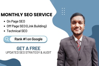 provide monthly SEO service with link building for google top ranking