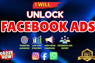 set up facebook and instagram ad campaigns