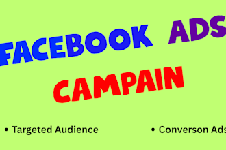 set up facebook and instagram ad campaigns