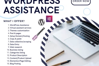 be your virtual assistant to your wordpress website