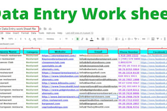 data entry web research expert