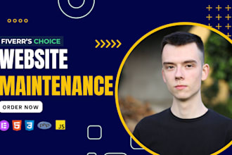 do wordpress website maintenance and support