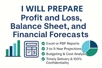 prepare profit and loss, balance sheet, and financial forecasts