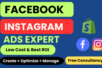 setup and manage shopify facebook ads campaign, instagram ads for viral sales