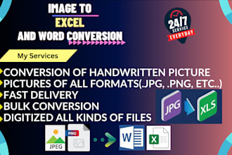 do professional image to excel and word conversion