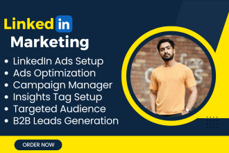 setup targeted linkedin ads campaign, marketing manager, leads generation ads