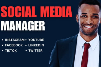 be your professional social media manager for your brand
