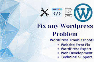 fix any wordpress problem or error on your website