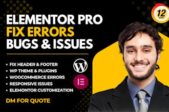 fix wordpress elementor errors, responsive issues and divi page builder bugs