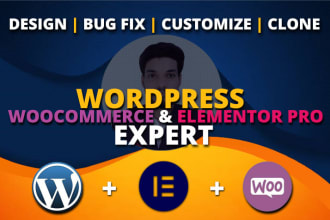 design, customize, clone wp site, bug fixing as elementor pro, ecommerce expert