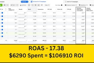 be your facebook ads expert and run profitable fb ads campaigns