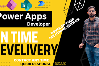expert powerapps developer for customized business apps
