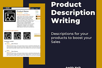 write SEO optimised product descriptions in 24 hours