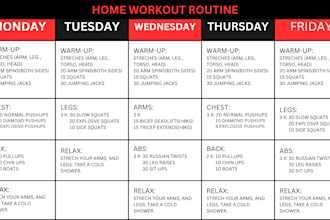 create a stunning custom gym schedule or any timetable from scratch