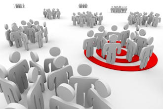 send 3,000 Real US Category Targeted Visitors to your website