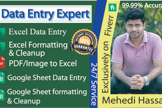 do excellent excel formatting, setup, copy paste, cleanup