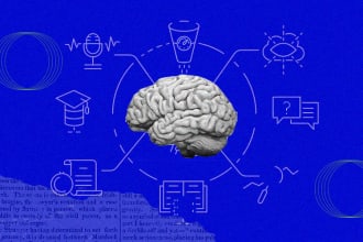 finetune llms, do prompt engineering, and build gpt apps