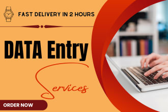 quick precision data entry expert for accurate results, your data perfected