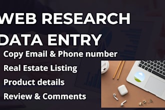 do web research, data scraping and data entry job