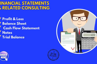 prepare financial statements, profit and loss and balance sheet