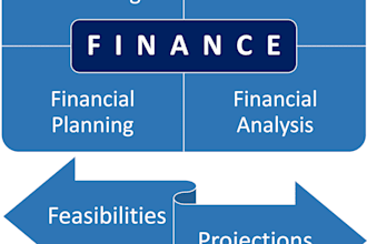 do financial modelling, forecast, planning, analysis, projections, feasibilities