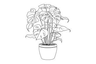 draw botanical plants line art in illustrator