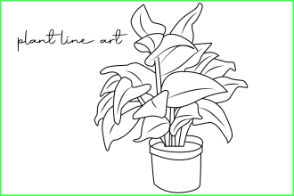 draw botanical plant and flower line art in illustrator