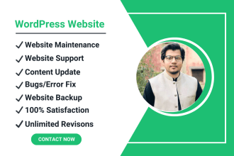 provide maintenance and support for your wordpress website