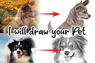 do your pet or animal to realistic pencil drawing
