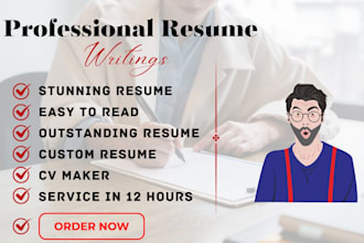 deliver outstanding, stunning, custom resume and CV services