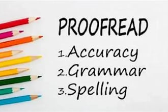 translate and punctuation, spelling your work in 24 hours