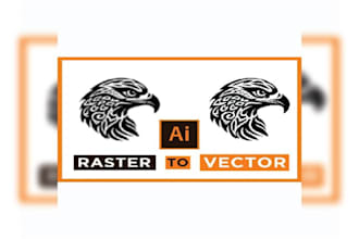 fix raster to vector trace, redraw images, 8h delivery