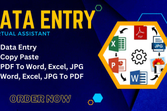 convert PDF to excel or word, copy paste, and data entry