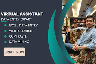 do expert VA for data entry and web research