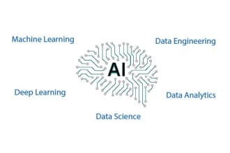 do machine learning, data science and ai project