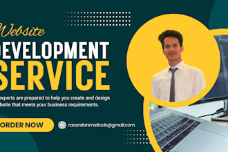 develop custom website using vue js and django professionally