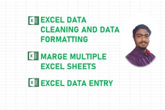 excel and CSV data clean, format, split, merge and other excel tasks