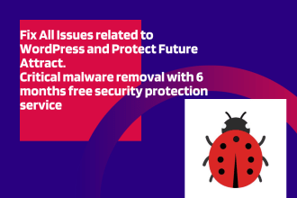 fix all critical bugs in wordpress with security